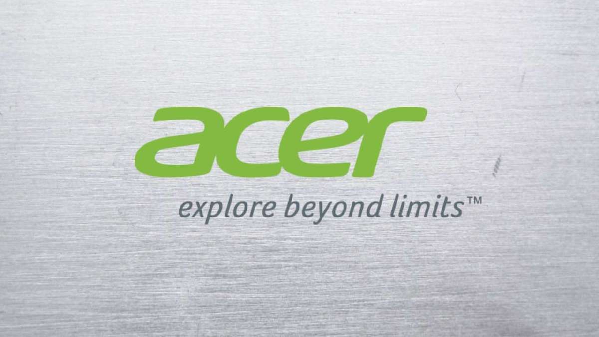 Acer Hacklendi