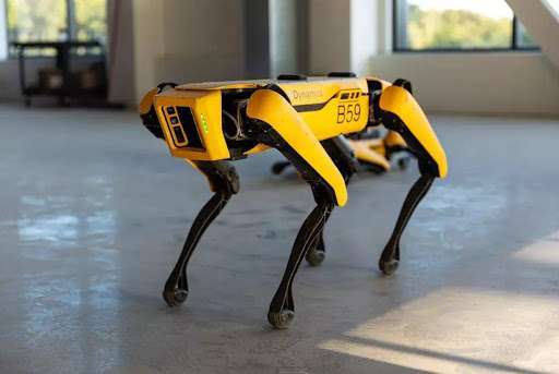Boston Dynamics Robotu, Sosyal Mesafeye Uymayanları Uyaracak